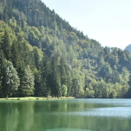 Wellness Chalet Am Bach Apartment *
